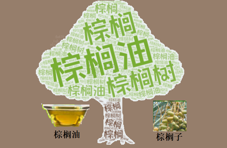 马棕榈油期货三月开局强劲,原油与豆油行情形成核心支撑(图1) 马棕榈油期货三月开局强劲,原油与豆油行情形成核心支撑(图1)